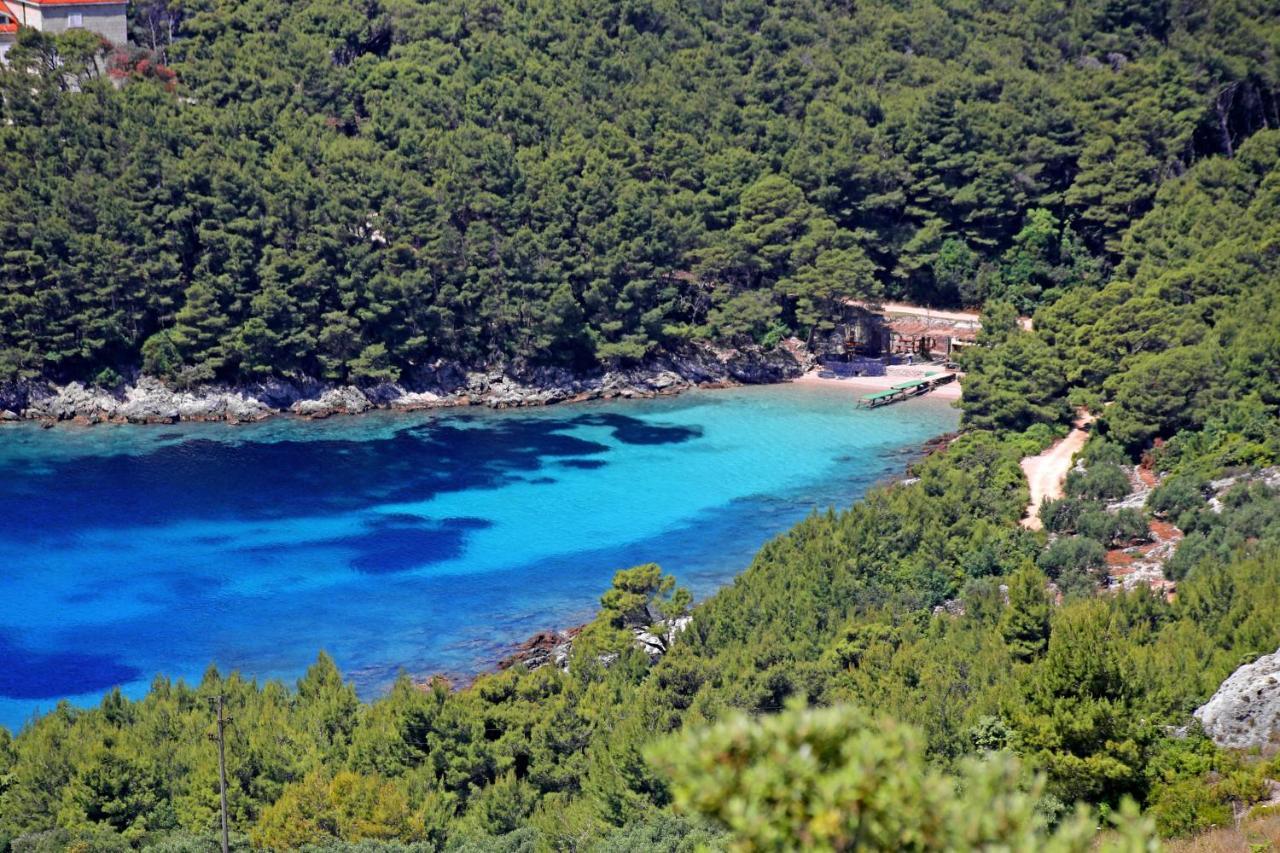 Apartments By The Sea Luka Dubrava, Peljesac - 14040 Putniković Exteriör bild